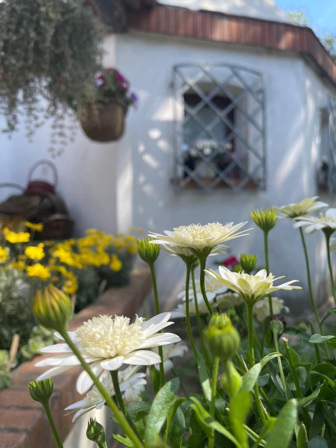 La Bricola Otel Cavallino-Treporti Dış mekan fotoğraf